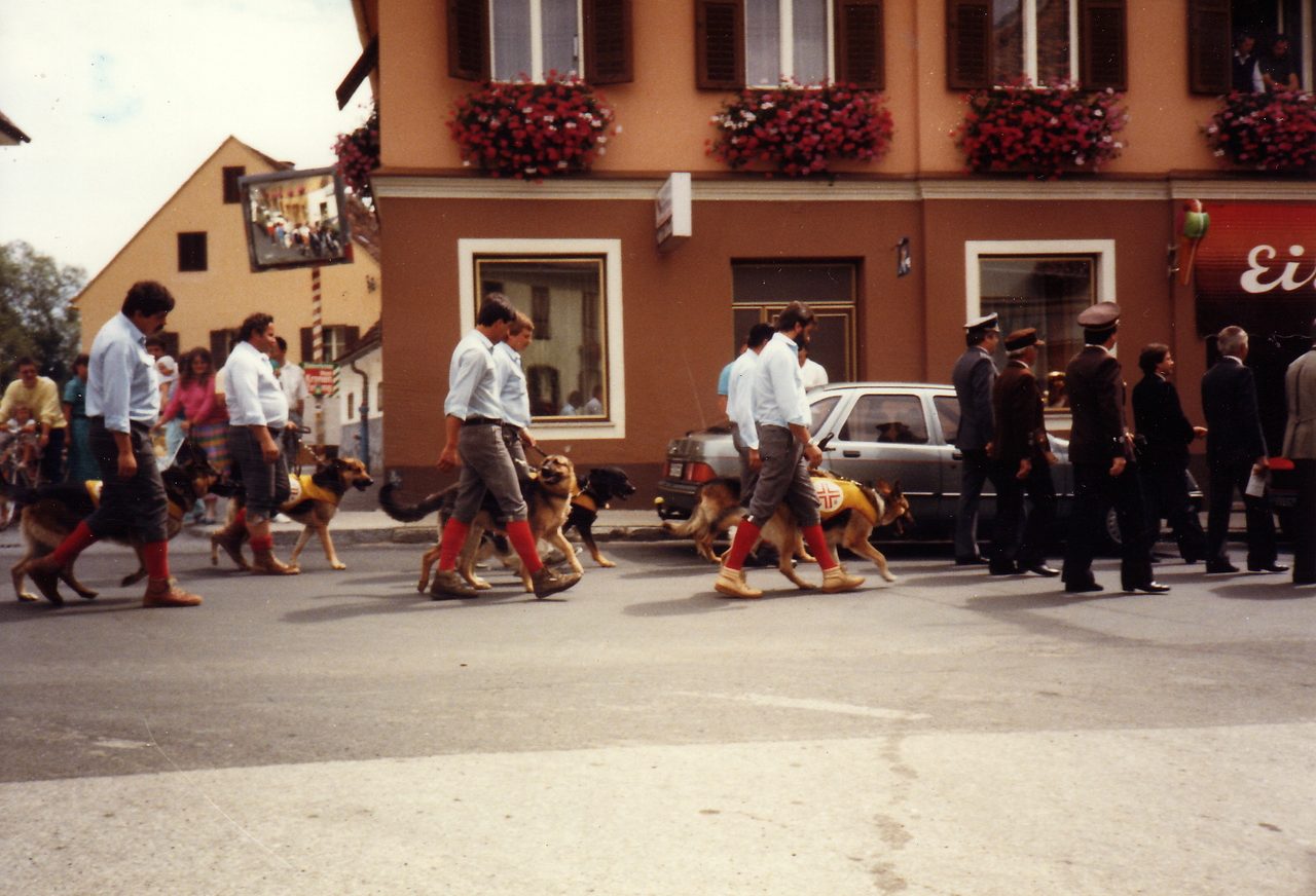 Vorführung 1986